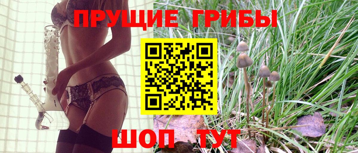 Псилоцибиновые грибы Psilocybine cubensis  Вход с VPN  Невинномысск 