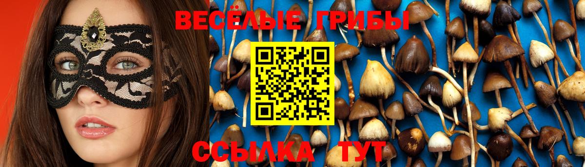 Псилоцибиновые грибы GOLDEN TEACHER Невинномысск